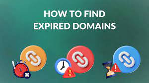 Expired Domain Search